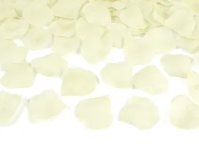 500 petali rosa bianco crema
